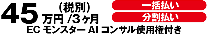 料金プラン495,000円（税込）/3ヶ月